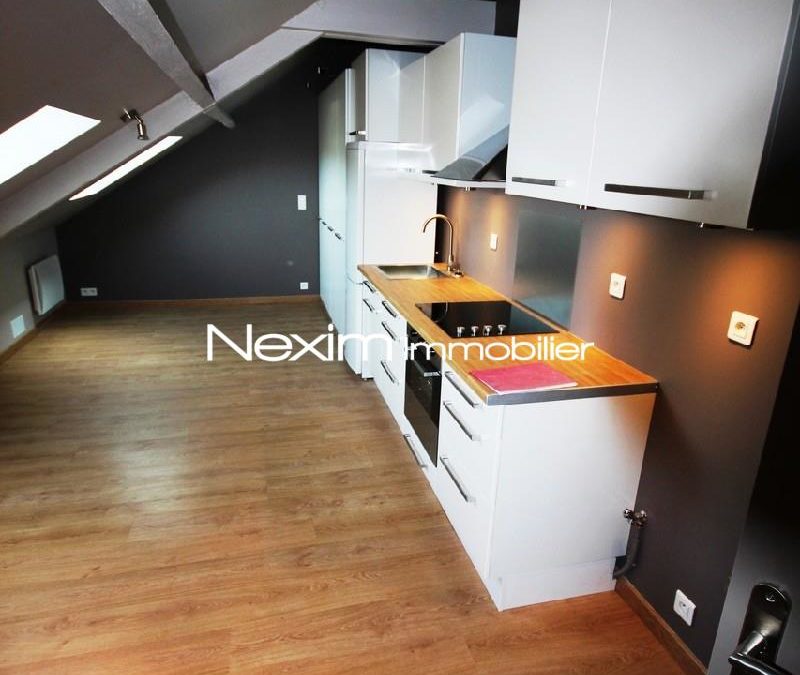 LILLE Appartement STUDIO MEUBLE