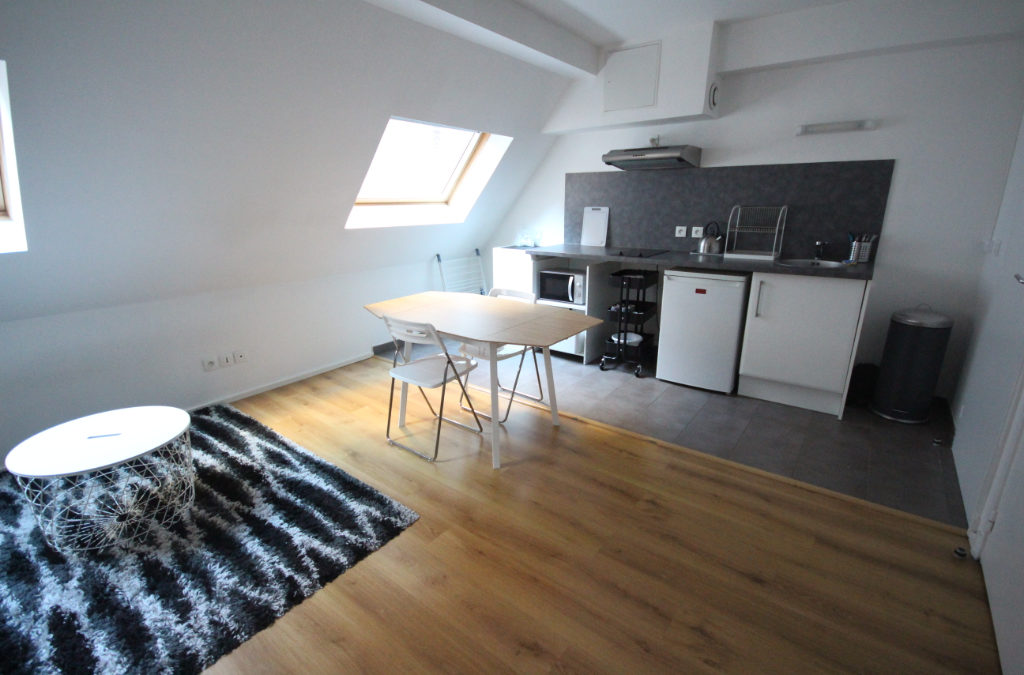 Studio MEUBLÉ de 24.1m², Lille Rihour