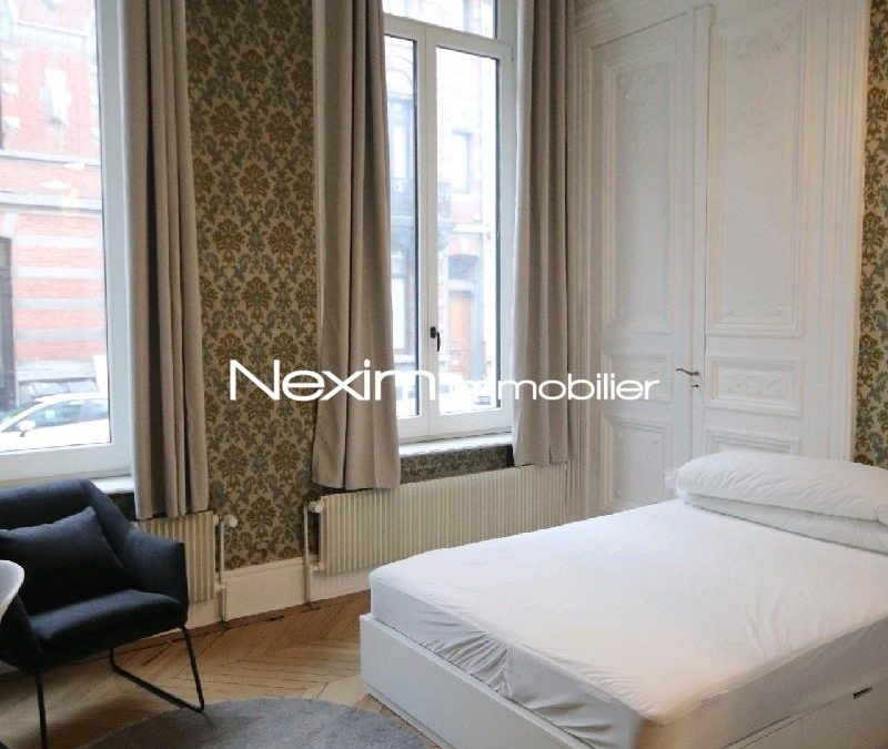 LILLE Appartement STUDIO MEUBLE