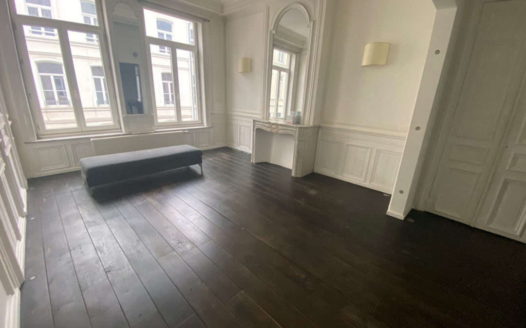 T5 de 160 m² , rue Denis Godefroy, Beaux-Arts