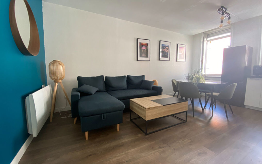 T2 MEUBLÉ de 35.8m², Rue du Chevalier Français – Saint-Maurice- Pellevoisin