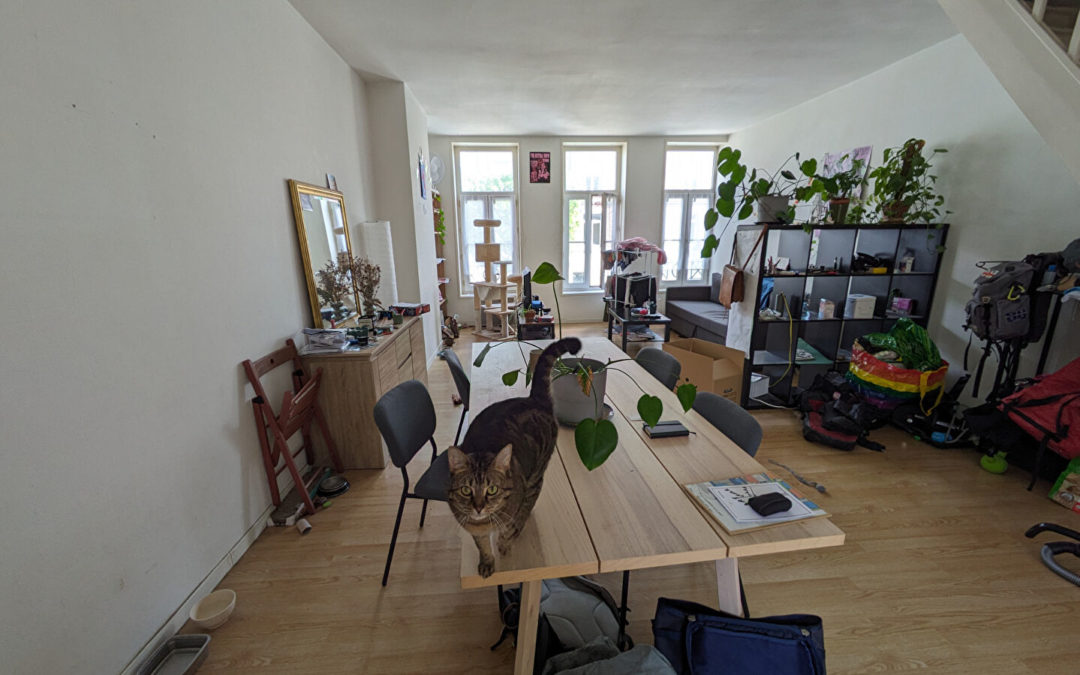 T3 en duplex de  m² ,rue Pierre Legrand – Fives