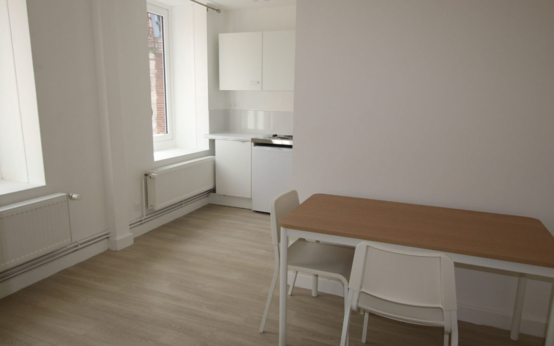 Studio de 26.46 m² avec mise à disposition du mobilier , rue Pharaon de Winter – Vieux Lille