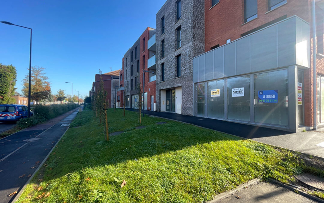 Ensemble de 5 cellules commerciales à louer , Valenciennes