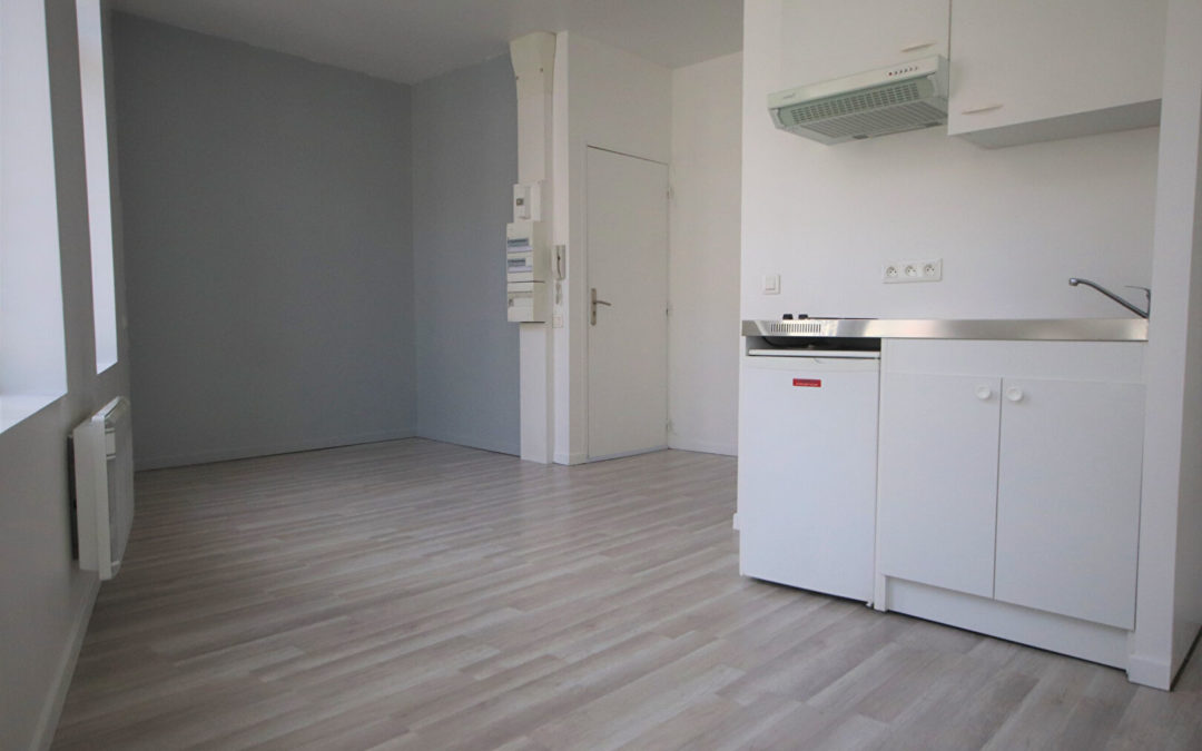 A LOUER, Studio de 20.05 m², rue Ratisbonne, Solférino