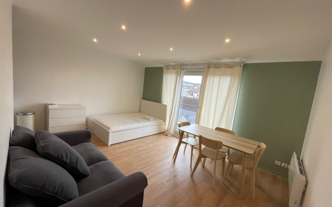 Beau studio de 30.9m2 situé sur les bords de Deûle avec Balcon !