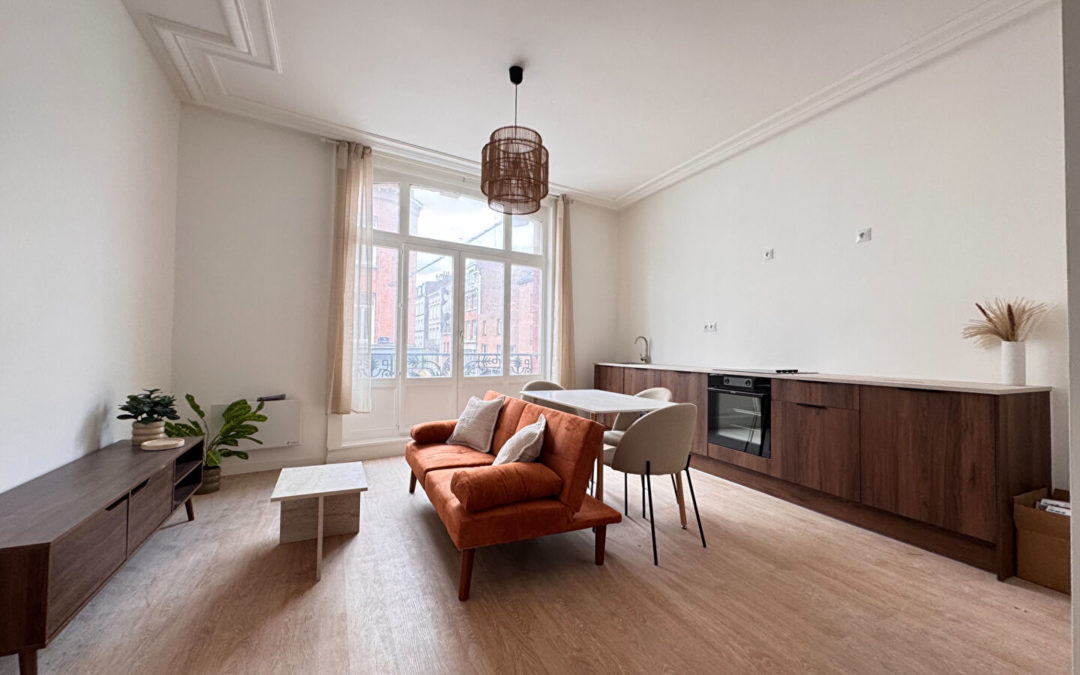 GRAND STUDIO TRAVERSANT LILLE CENTRE
