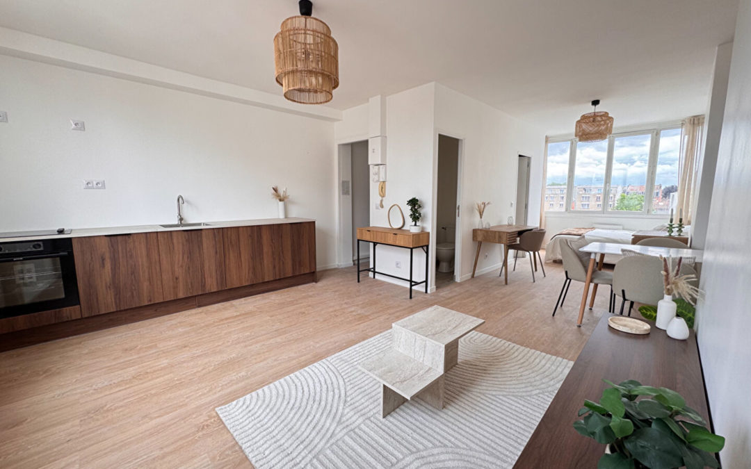 GRAND STUDIO TRAVERSANT LILLE CENTRE