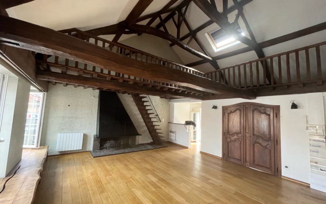 BEAU T2 TYPE LOFT DE 56M2 RUE DE LILLE A HALLUIN