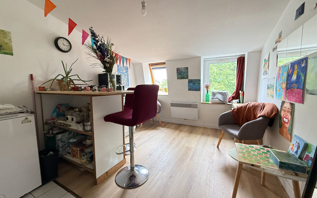 Appartement 2 pieces au dernier étage – VAUBAN – NATIONALE