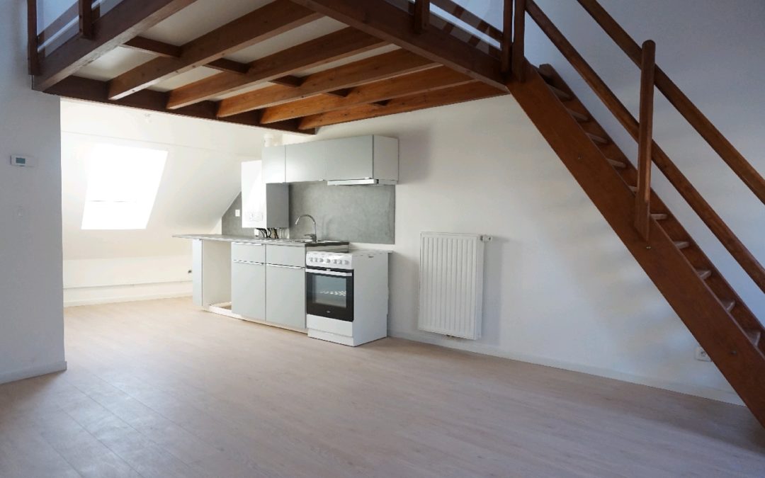 Superbe T3 bis, entièrement neuf, à 2 pas du métro Fives.