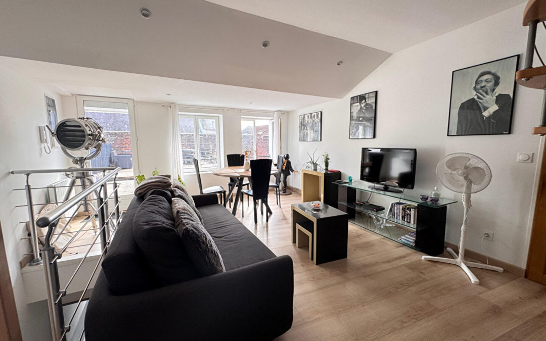 Appartement T3 bis MEUBLE de 51.8m2 situé rue Léonard Danel – Vieux-Lille