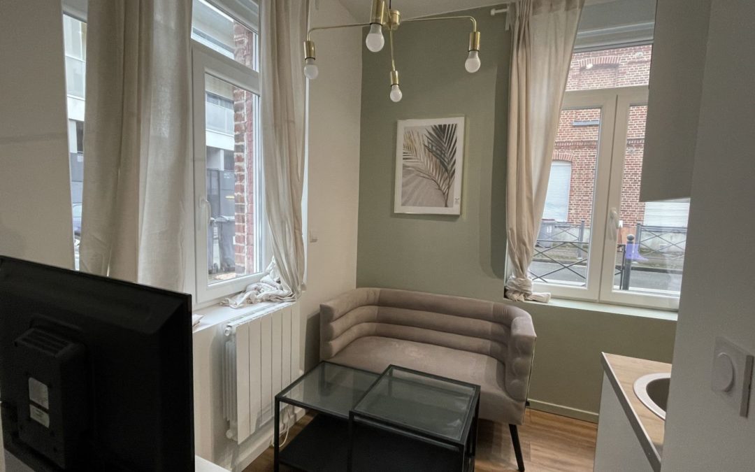 Beau T1bis entièrement refait à neuf, meublé et décoré avec goût !