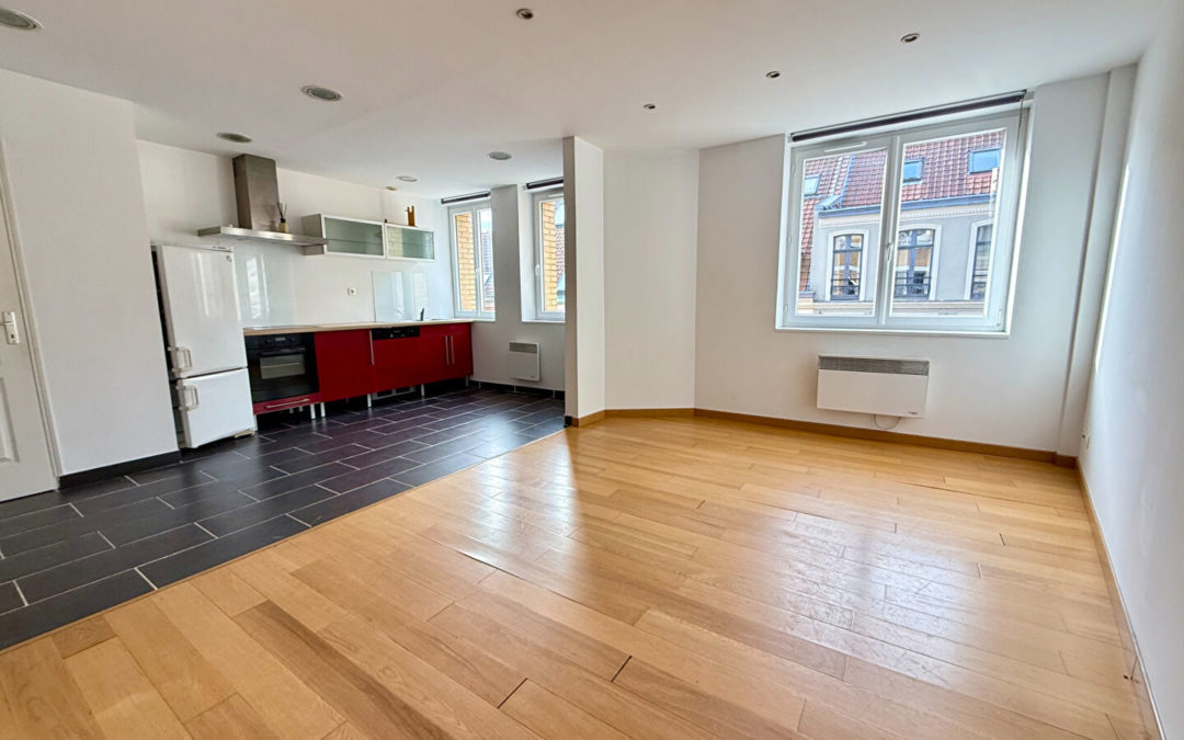 Type 2 lumineux et en bon état – VIEUX LILLE