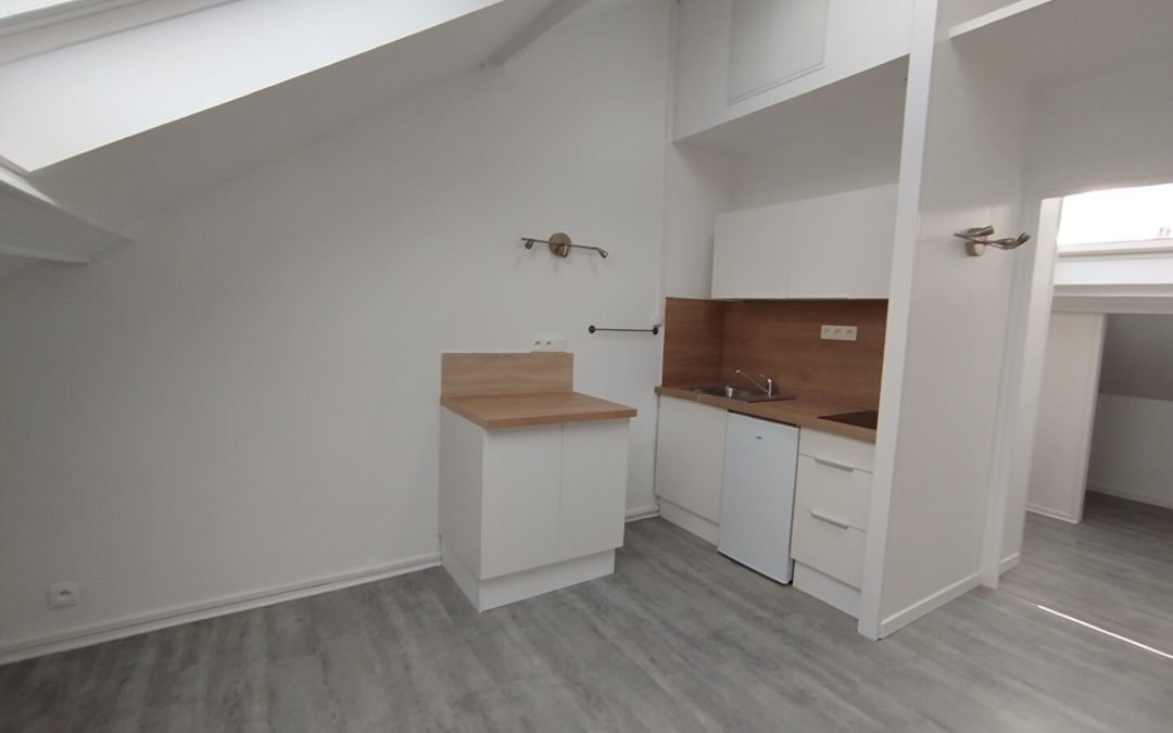 Appartement 1 pièce 17,45 m2 / RUE ADOLPHE