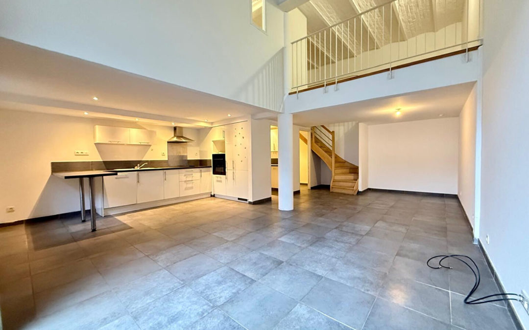 À LOUER – Loft T5 de 124 m², Rue du Faubourg d&rsquo;Arras, Fâches-Thumesnil