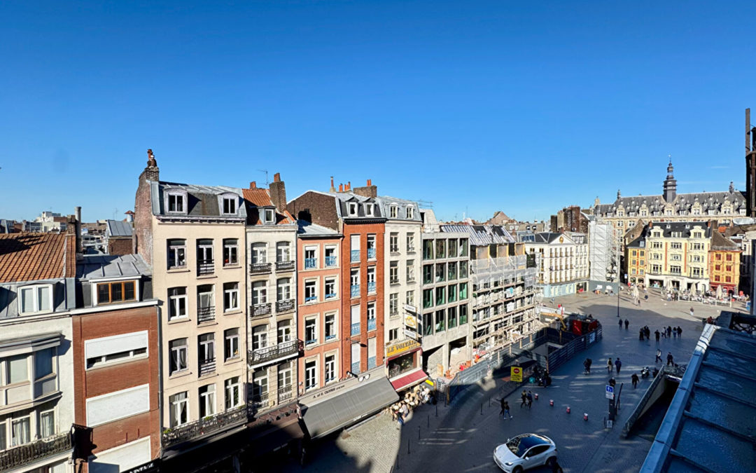TYPE 3 DERNIER ETAGE – GRAND PLACE