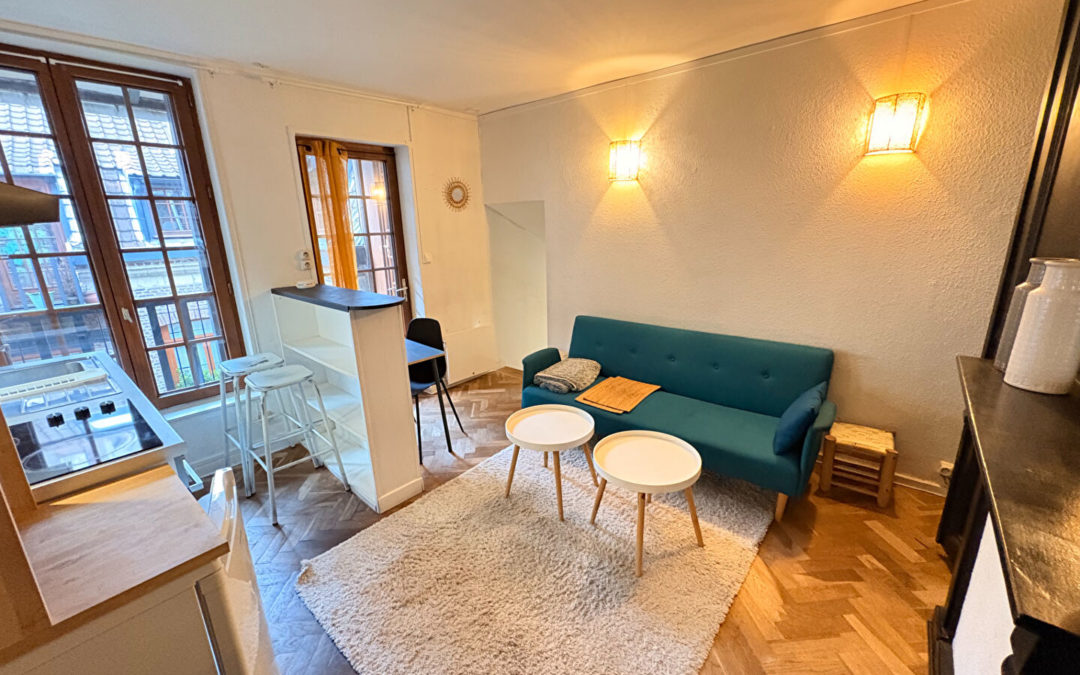 T1 bis MEUBLE de 20.89 m², rue de Metz – Vieux Lille