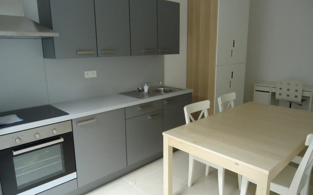 A louer – T2 de 36 m2 avec mise à disposition du mobilier, Place Catinat – LILLE-VAUBAN