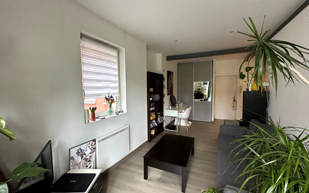 À LOUER – T2 MEUBLÉ de 42 m², Rue Gantois, LILLE SAINT-MICHEL