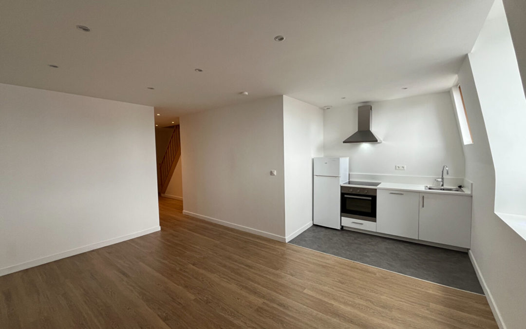 T3 – DUPLEX – Quartier Vauban / Liberté – LILLE