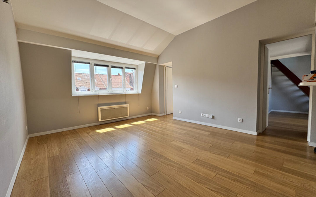 APPARTEMENT T3 – HYPER CENTRE